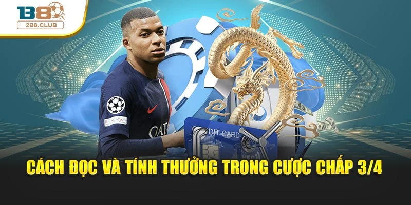 Kèo Chấp 3/4: Phân Tích Và Hướng Dẫn Đọc Tỷ Lệ Hiệu Quả 3 Cách đọc và tính thưởng trong cược chấp 3/4