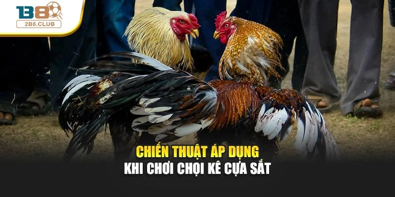 Đá Gà Cựa Sắt: Bí Quyết Và Chiến Lược Cược Tại B8 4 Chiến thuật áp dụng khi chơi chọi kê cựa sắt