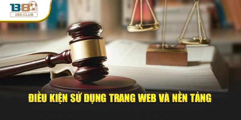 Điều khoản điều kiện 3 Điều kiện sử dụng trang web và nền tảng