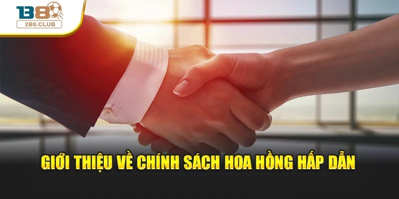 Đại lý B8 3 Giới thiệu về chính sách hoa hồng hấp dẫn
