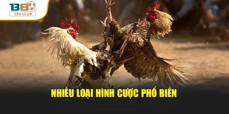 Đá Gà Cựa Sắt: Bí Quyết Và Chiến Lược Cược Tại B8 3 Nhiều loại hình cược phổ biến